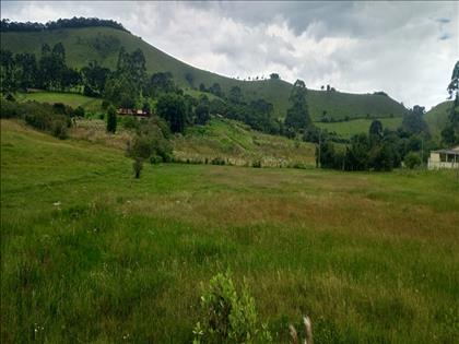 Terreno à Venda