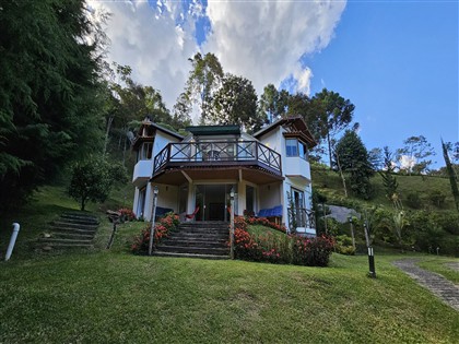 Sítio à Venda