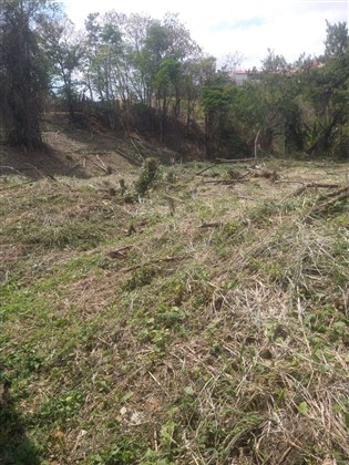 Terreno à Venda